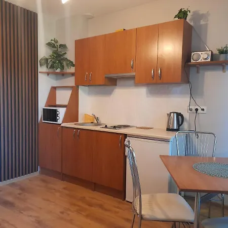 Apartament Pod Debami Rowy  Exterior photo
